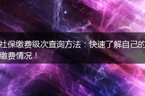 社保缴费级次查询方法:快速了解自己的缴费情况!