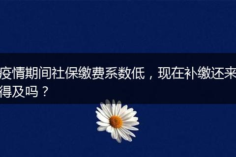 疫情期间社保缴费系数低,现在补缴还来得及吗?