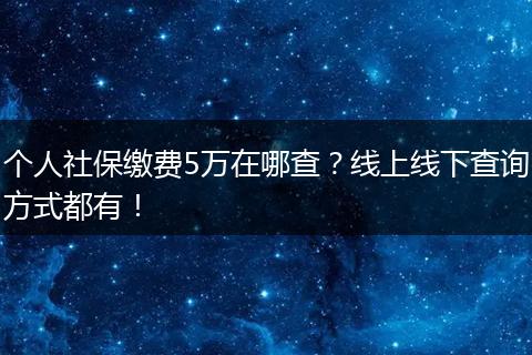 个人社保缴费5万在哪查？线上线下查询方式都有！