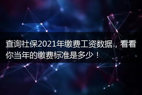 查询社保2021年缴费工资数据，看看你当年的缴费标准是多少！