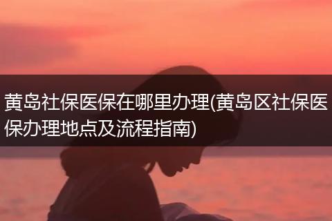 黄岛社保医保在哪里办理(黄岛区社保医保办理地点及流程指南)