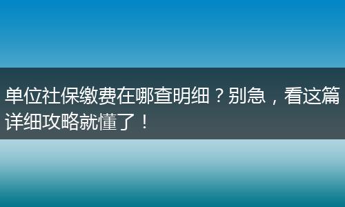 单位社保缴费在哪查明细？别急，看这篇详细攻略就懂了！
