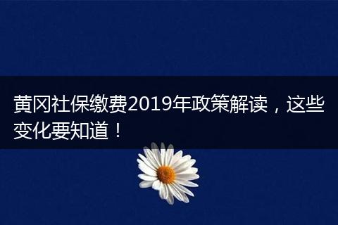黄冈社保缴费2019年政策解读,这些变化要知道!