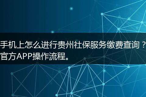 手机上怎么进行贵州社保服务缴费查询?官方APP操作流程。