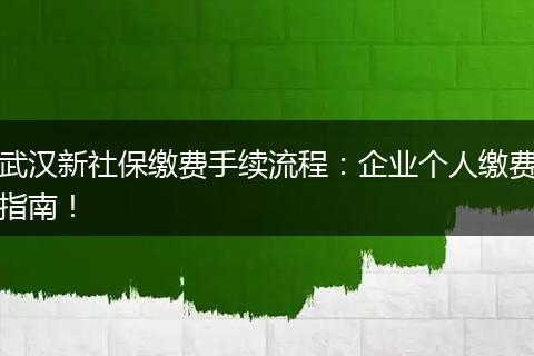 武汉新社保缴费手续流程：企业个人缴费指南！