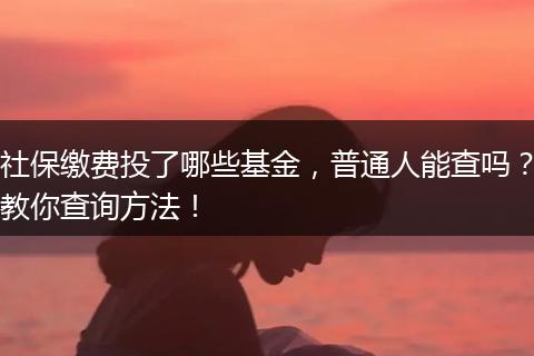 社保缴费投了哪些基金，普通人能查吗？教你查询方法！