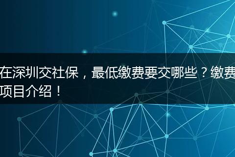 在深圳交社保，最低缴费要交哪些？缴费项目介绍！