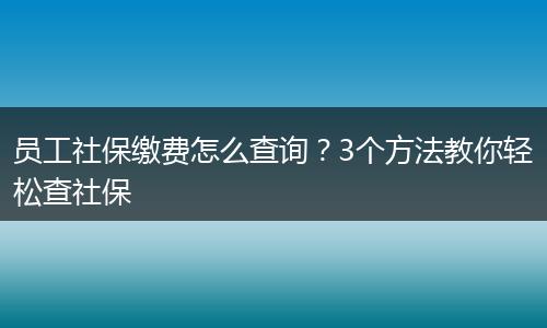 员工社保缴费怎么查询？3个方法教你轻松查社保