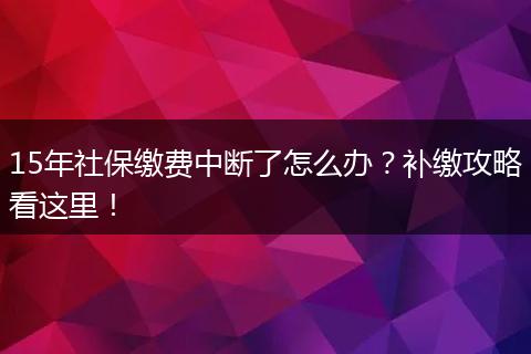 15年社保缴费中断了怎么办？补缴攻略看这里！