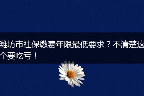 潍坊市社保缴费年限最低要求?不清楚这个要吃亏!