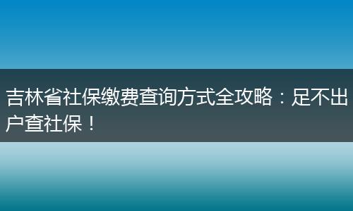 吉林省社保缴费查询方式全攻略：足不出户查社保！