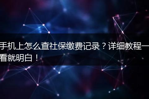 手机上怎么查社保缴费记录？详细教程一看就明白！