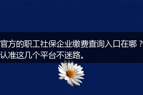官方的职工社保企业缴费查询入口在哪？认准这几个平台不迷路。