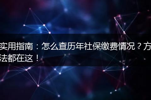 实用指南:怎么查历年社保缴费情况?方法都在这!