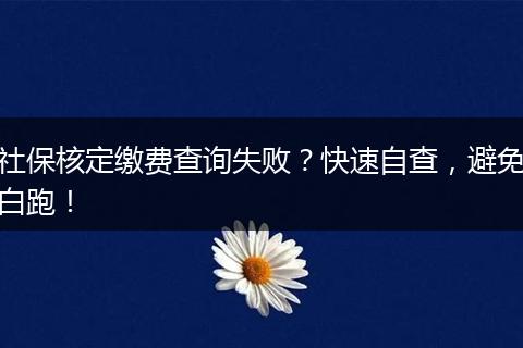 社保核定缴费查询失败？快速自查，避免白跑！