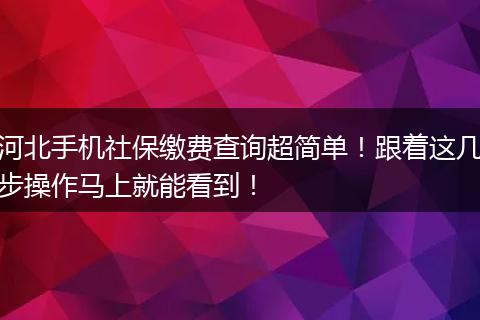 河北手机社保缴费查询超简单！跟着这几步操作马上就能看到！