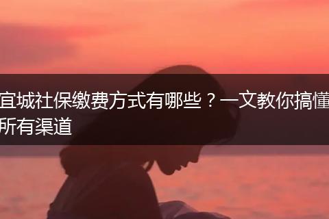 宜城社保缴费方式有哪些？一文教你搞懂所有渠道