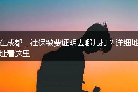 在成都，社保缴费证明去哪儿打？详细地址看这里！
