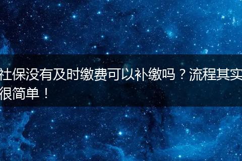 社保没有及时缴费可以补缴吗？流程其实很简单！