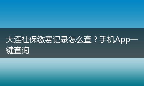 大连社保缴费记录怎么查？手机App一键查询