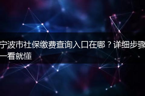 宁波市社保缴费查询入口在哪？详细步骤一看就懂