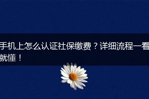 手机上怎么认证社保缴费？详细流程一看就懂！