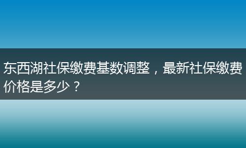 东西湖社保缴费基数调整，最新社保缴费价格是多少？