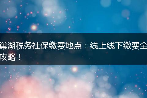 巢湖税务社保缴费地点：线上线下缴费全攻略！