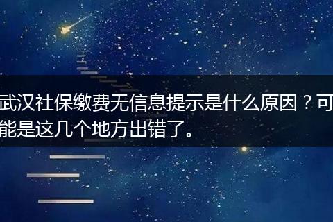 武汉社保缴费无信息提示是什么原因？可能是这几个地方出错了。