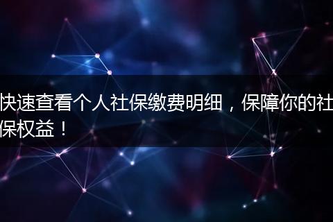 快速查看个人社保缴费明细，保障你的社保权益！
