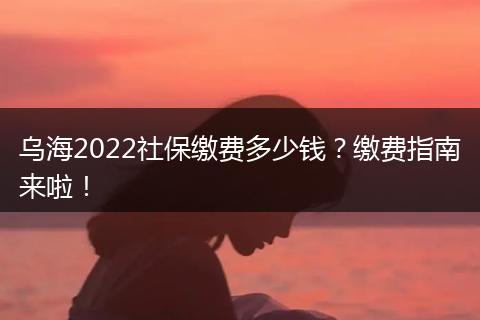 乌海2022社保缴费多少钱？缴费指南来啦！