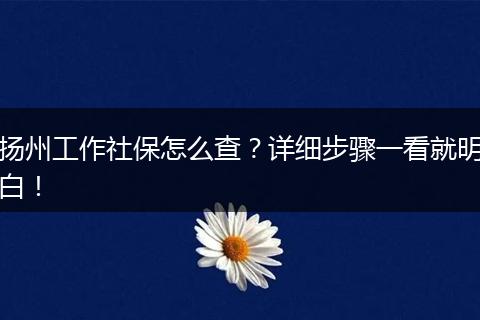 扬州工作社保怎么查？详细步骤一看就明白！