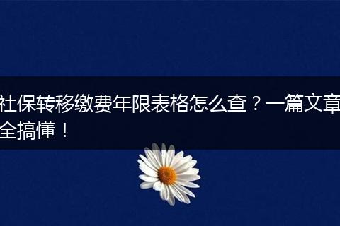 社保转移缴费年限表格怎么查?一篇文章全搞懂!