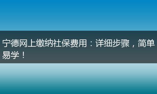宁德网上缴纳社保费用：详细步骤，简单易学！