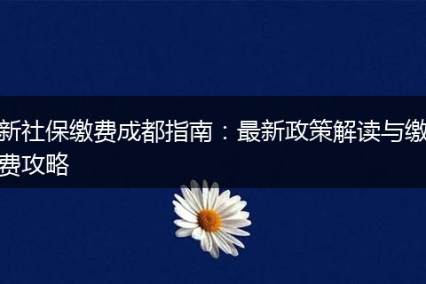 新社保缴费成都指南：最新政策解读与缴费攻略