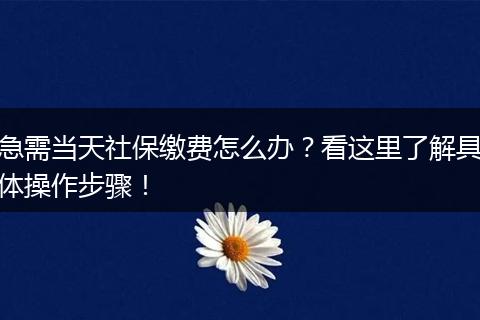 急需当天社保缴费怎么办？看这里了解具体操作步骤！