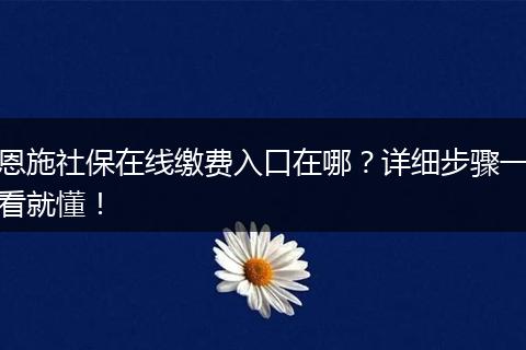 恩施社保在线缴费入口在哪？详细步骤一看就懂！