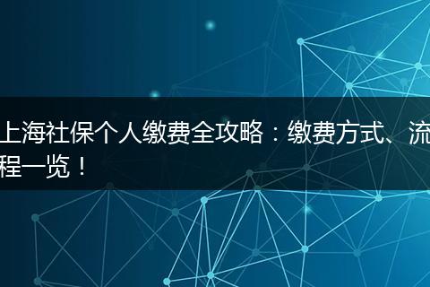 上海社保个人缴费全攻略：缴费方式、流程一览！