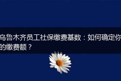 乌鲁木齐员工社保缴费基数：如何确定你的缴费额？