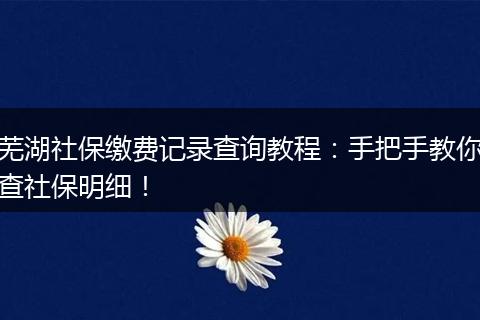 芜湖社保缴费记录查询教程：手把手教你查社保明细！