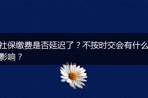 社保缴费是否延迟了？不按时交会有什么影响？