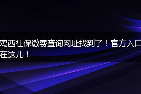 鸡西社保缴费查询网址找到了！官方入口在这儿！