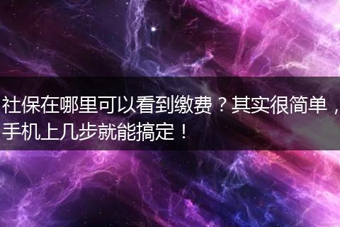社保在哪里可以看到缴费？其实很简单，手机上几步就能搞定！