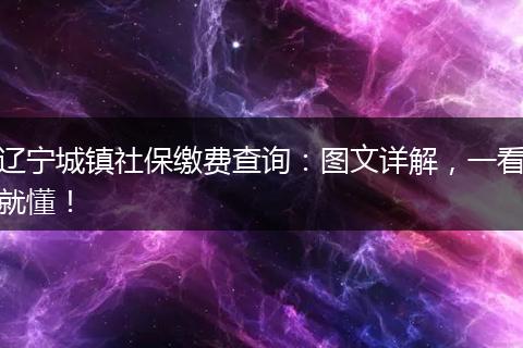 辽宁城镇社保缴费查询：图文详解，一看就懂！