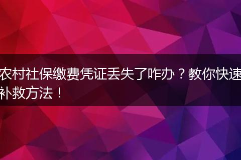 农村社保缴费凭证丢失了咋办？教你快速补救方法！
