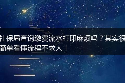 社保局查询缴费流水打印麻烦吗？其实很简单看懂流程不求人！