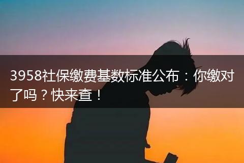 3958社保缴费基数标准公布：你缴对了吗？快来查！