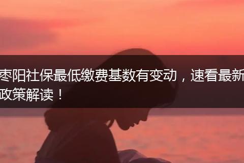 枣阳社保最低缴费基数有变动，速看最新政策解读！