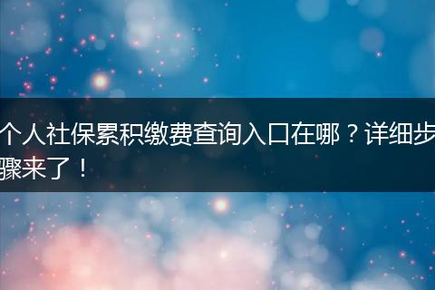 个人社保累积缴费查询入口在哪？详细步骤来了！