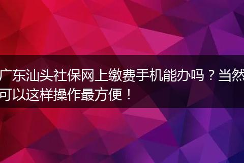 广东汕头社保网上缴费手机能办吗？当然可以这样操作最方便！